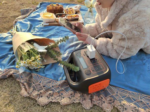système d'alimentation portatif de 1000W rv pour le stockage de l'énergie de ménage 8